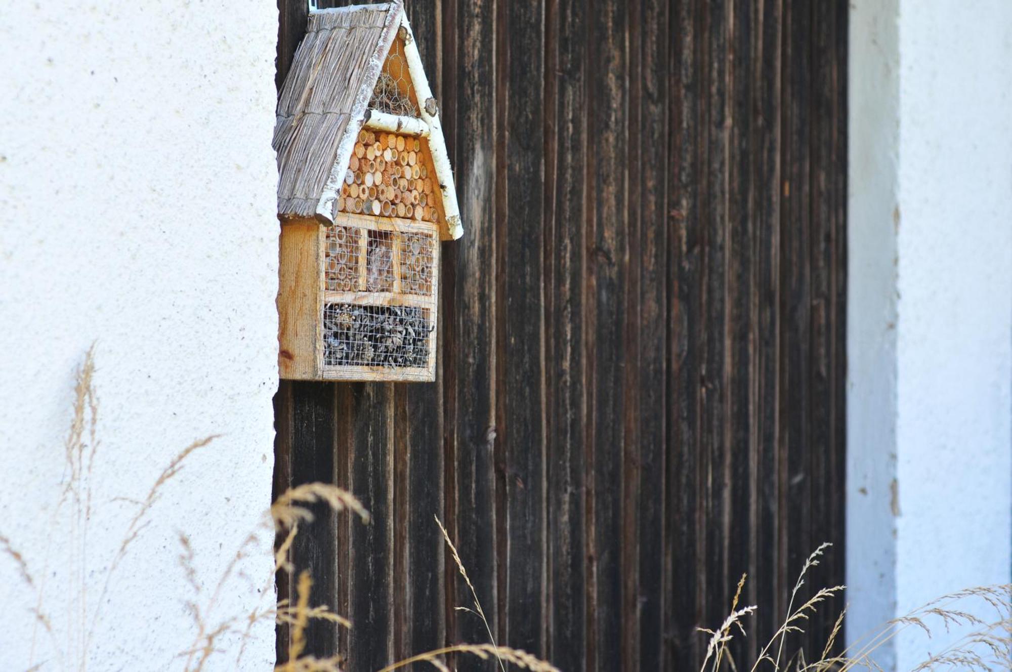 Ferienhaus Muehlblick Oberdachstetten ภายนอก รูปภาพ